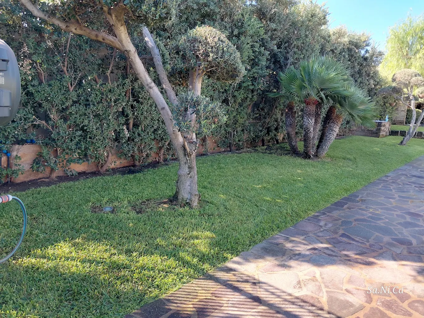 Manutenzione di un giardino Sa.Ni.Ca.
